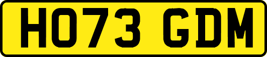 HO73GDM