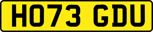 HO73GDU