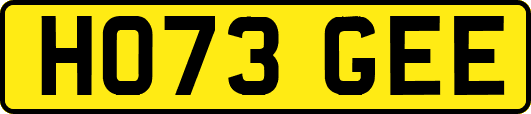 HO73GEE