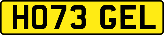 HO73GEL