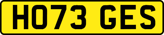 HO73GES