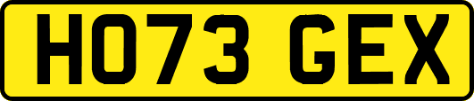 HO73GEX