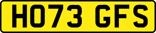 HO73GFS