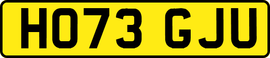 HO73GJU