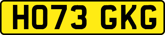 HO73GKG