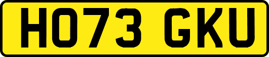 HO73GKU