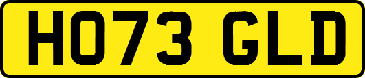 HO73GLD
