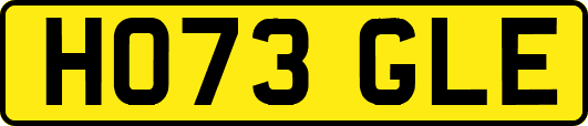 HO73GLE
