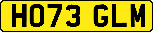HO73GLM