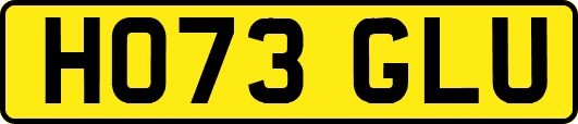 HO73GLU