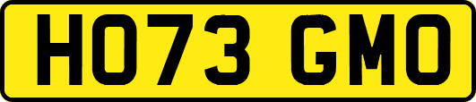 HO73GMO