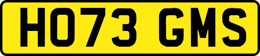 HO73GMS