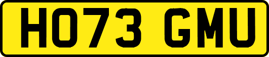HO73GMU