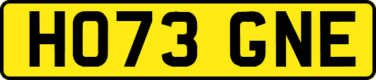 HO73GNE