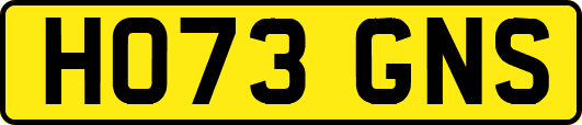 HO73GNS
