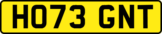 HO73GNT
