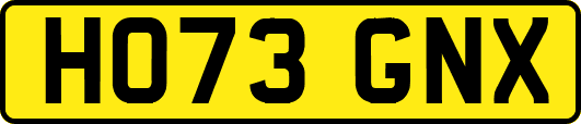 HO73GNX