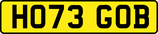HO73GOB