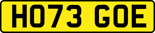 HO73GOE