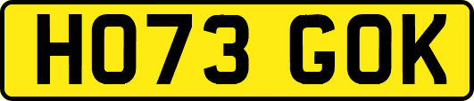 HO73GOK