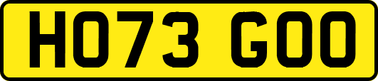 HO73GOO