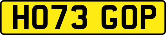 HO73GOP