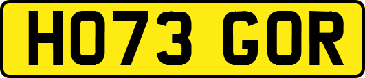 HO73GOR