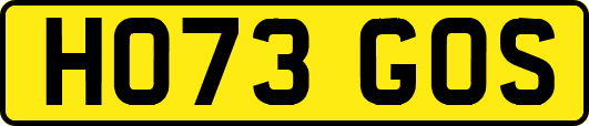 HO73GOS