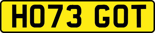 HO73GOT