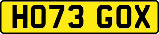 HO73GOX