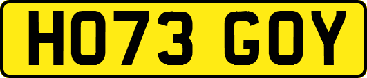 HO73GOY