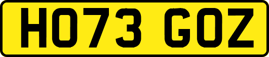 HO73GOZ