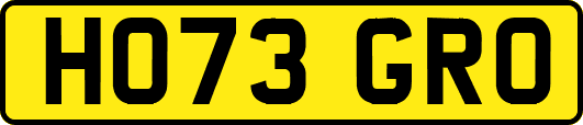 HO73GRO