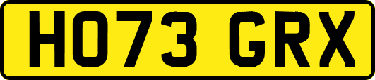 HO73GRX