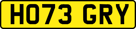 HO73GRY