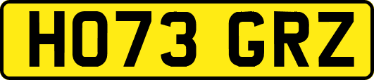 HO73GRZ