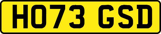 HO73GSD