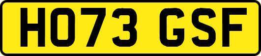 HO73GSF