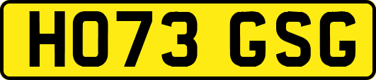 HO73GSG