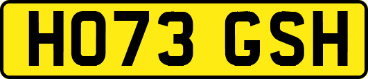 HO73GSH