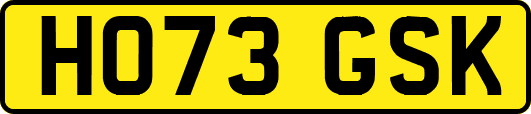 HO73GSK