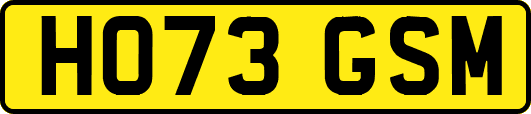 HO73GSM