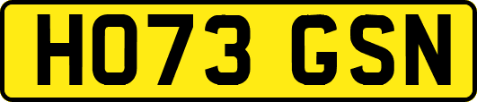 HO73GSN