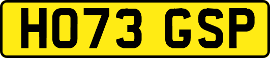HO73GSP