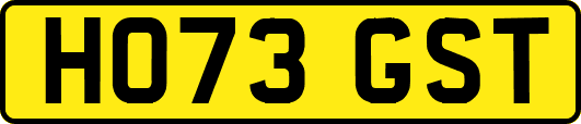 HO73GST
