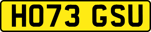 HO73GSU