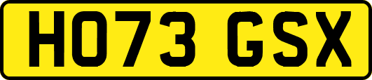 HO73GSX