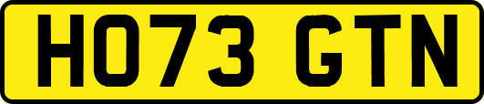 HO73GTN