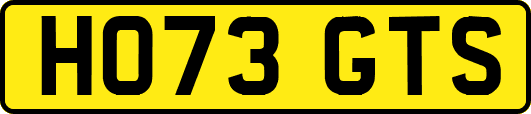 HO73GTS