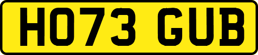 HO73GUB